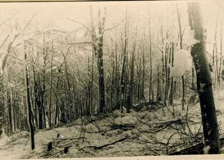 * ALSACE, 25 Janvier 1944 : le drame de la Cie Chambarand (BM 4) à l'Illwald