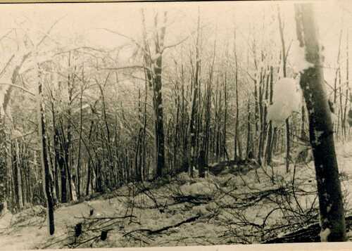 *Etape n° 40 - 25 Janvier 1945 -  Le sacrifice de la 2ème cie Chambarand du B.M 4 à l'Illwald suivi du portrait de Marie-Jeanne