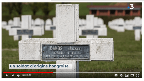 * Documentaire France 3 sur la nécropole de ROUGEMONT (Doubs)