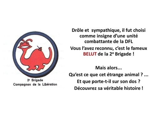 Trésors d'archives : Le BELUT ? une espèce rare et protégée...