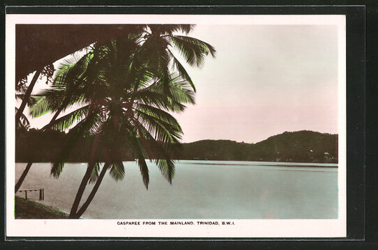 * Suvivant de Bir Hakeim par Domingo Lopez - 1 - De Montevideo à Londres