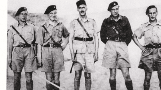 * Le Compagnon de la Libération Jacques Hébert (1ère DFL et 2e DB) n'est plus 