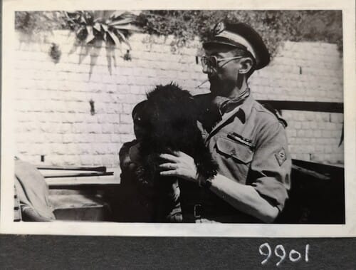 * Quelques portraits de Compagnons de la Libération dans les archives de l'Ecpad
