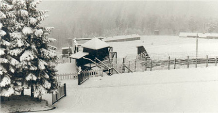 *Etape n° 42 - 31 Janvier 1945 : Fusiliers Marins, BM 21 et 2ème D.B. : la Campagne d'Alsace de la D.F.L se termine à MARCKOLSHEIM