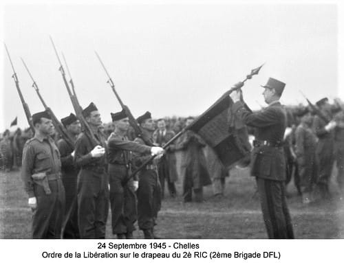Trésors d'archives : Le BELUT ? une espèce rare et protectrice...