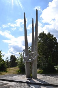 * Etape n° 30 - 22-25 Novembres 1944 - Légionnaires, Fusiliers Marins et Sapeurs du Génie à l'assaut du Ballon d'Alsace