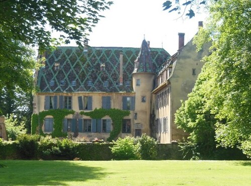 * Séjour en Alsace en mai 2016 sur les chemins de la 1ère DFL