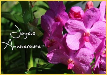 * Heureux anniversaire à  Marcel Barbary vétéran de la 1ère DFL pour ses 105 ans