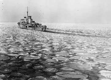 * On se souvient de François TILLY, marin FFL, puis 1er RFM à la 1ère D.F.L