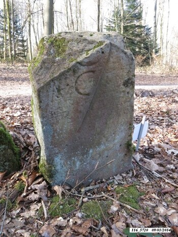 * 71 ème anniversaire de la libération de d'Eboulet et Champagney par le 22 B.M.N.A